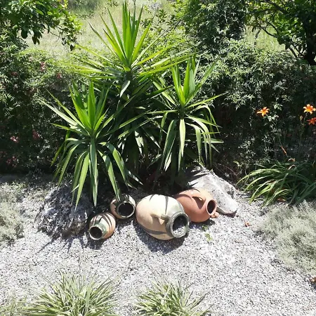 Private House With Garden In Dalyan 度假居 *